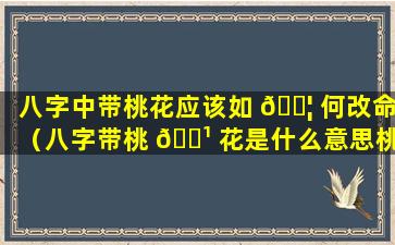 八字中带桃花应该如 🐦 何改命（八字带桃 🌹 花是什么意思桃花带合是不是不好!）